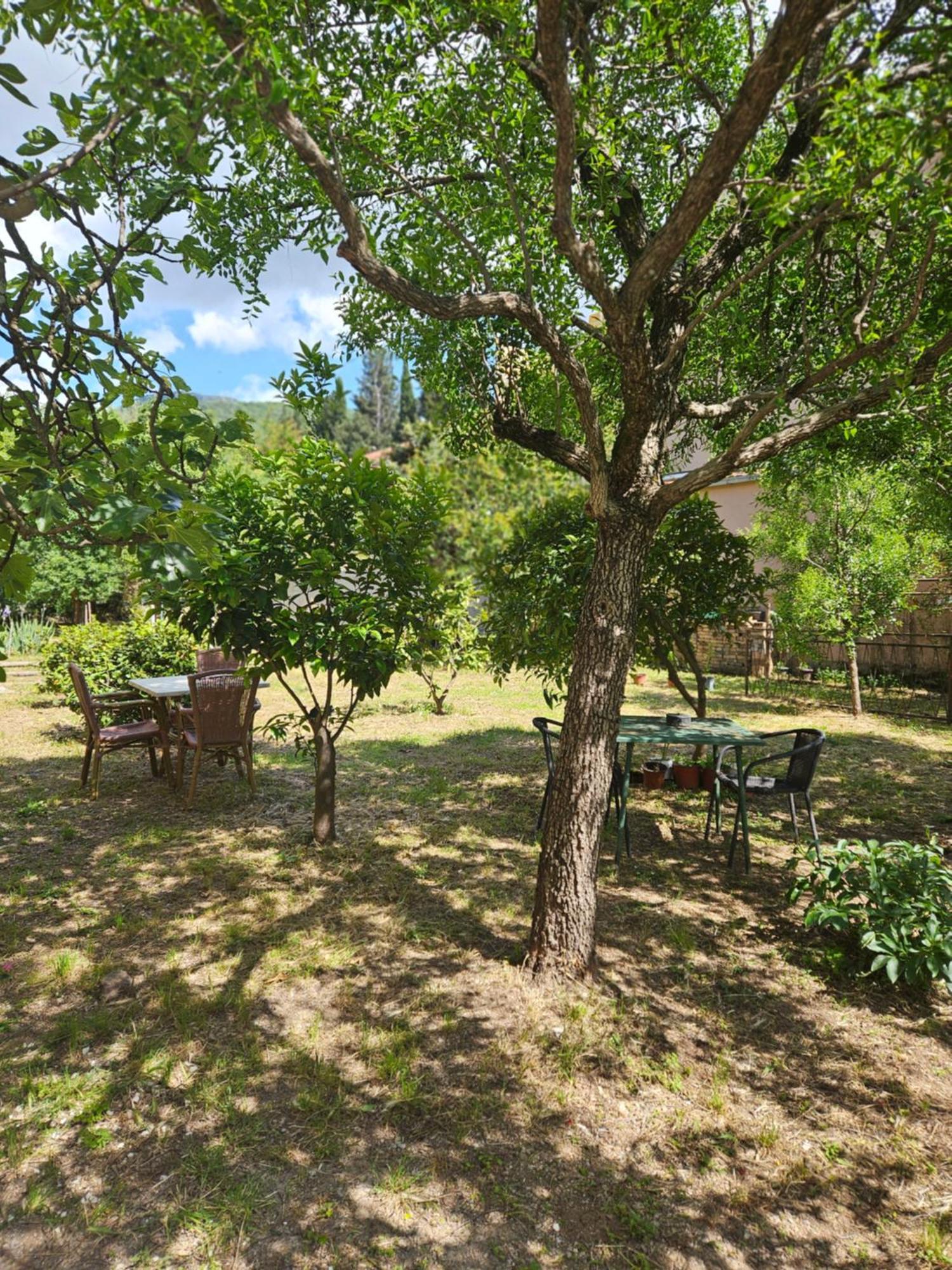 Casa M Leilighet Tivat Rom bilde